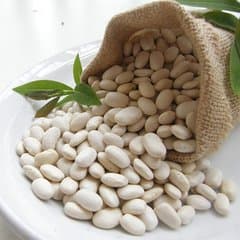 Manufacturer Supply Healthy plant extract White Kidney Bean